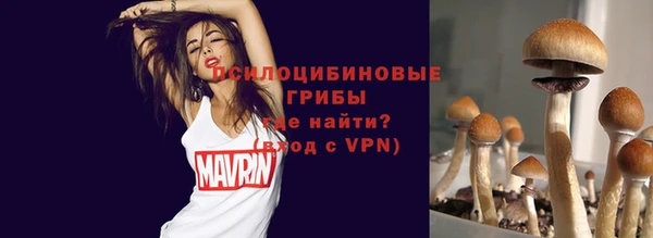 крисы Волгодонск